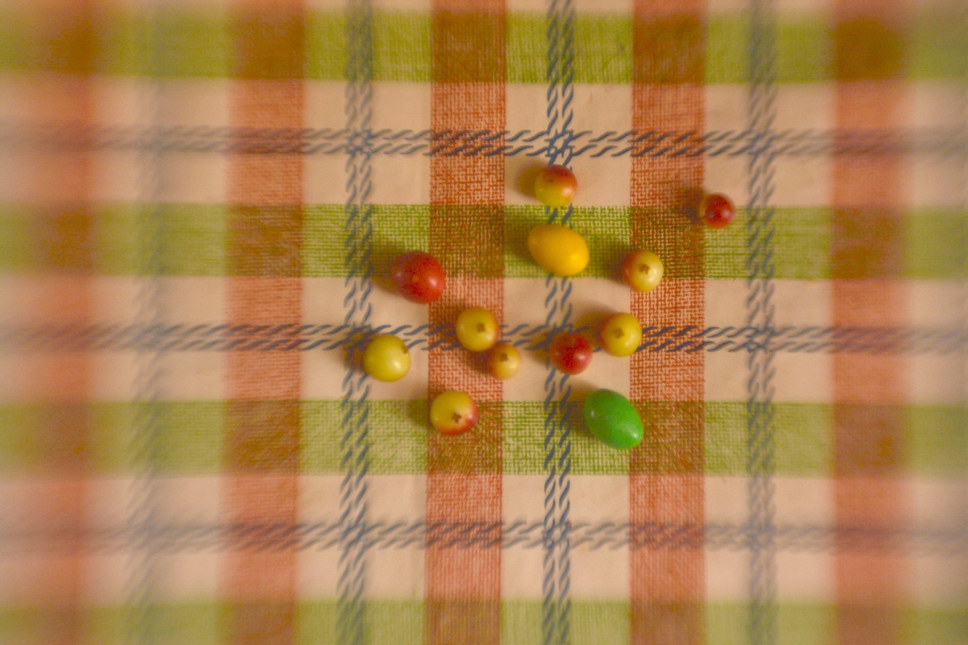 Жизнь вокруг