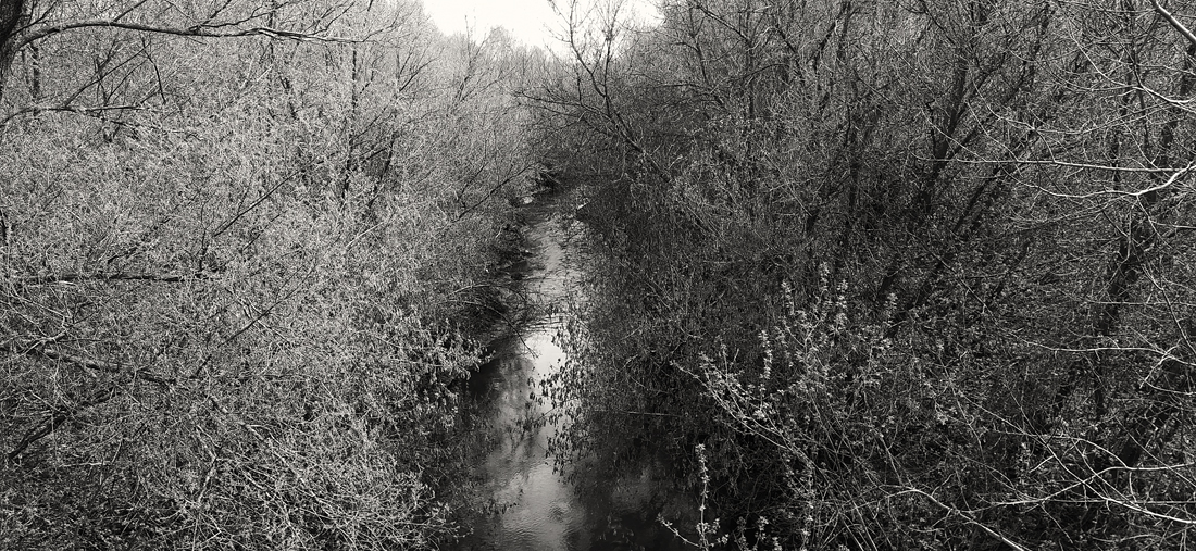 Не неси меня река