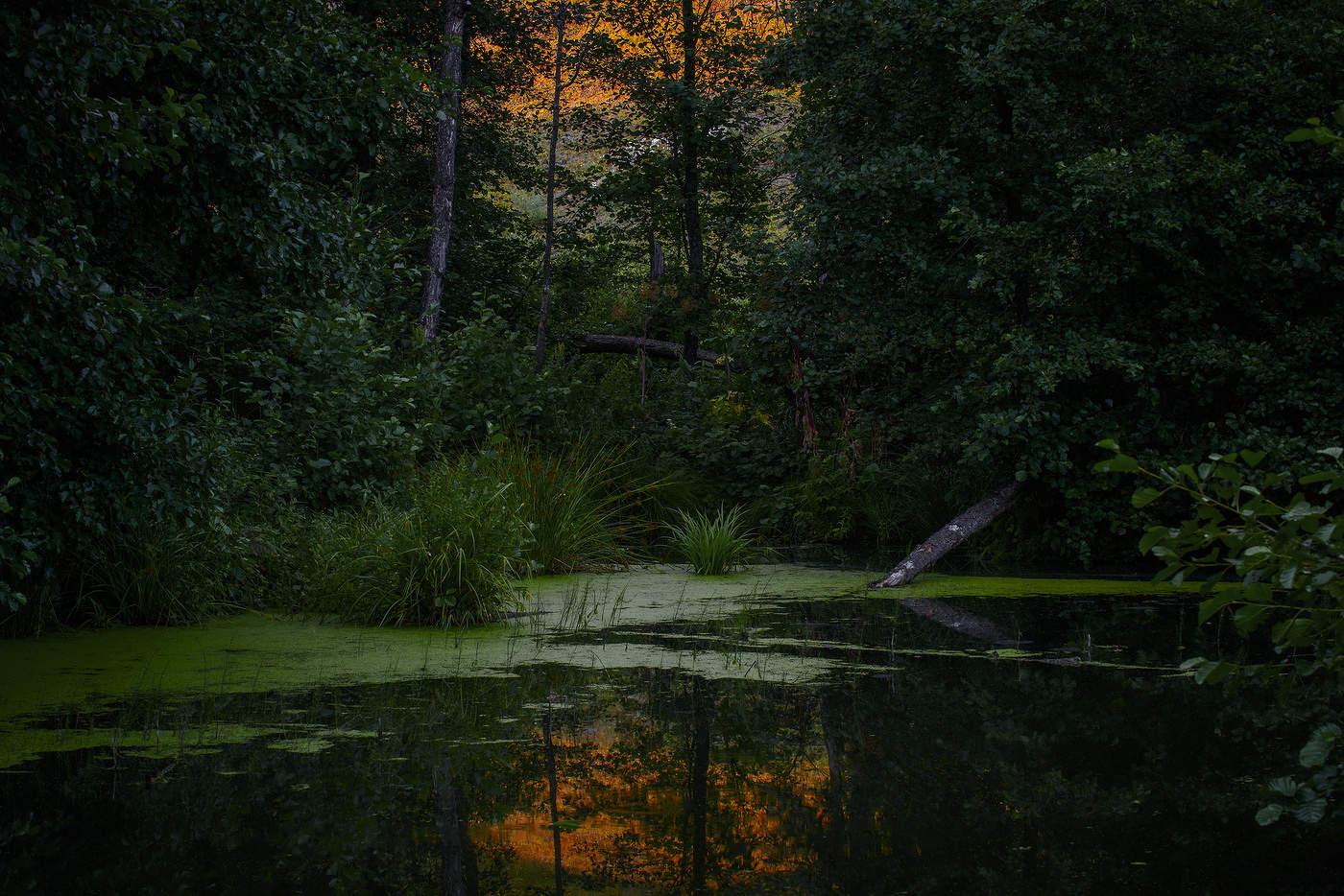 Предночье...