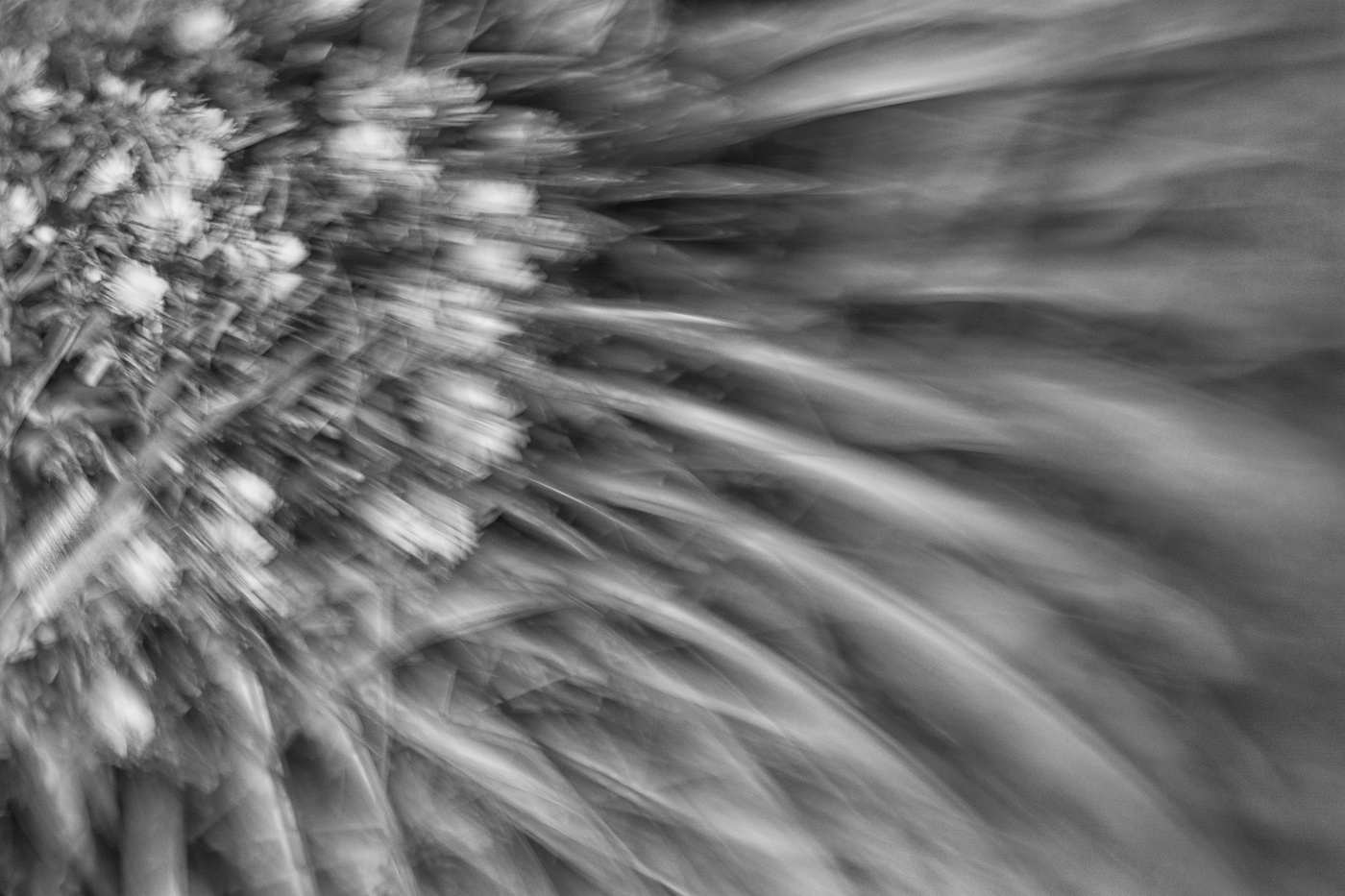 Жизнь вокруг