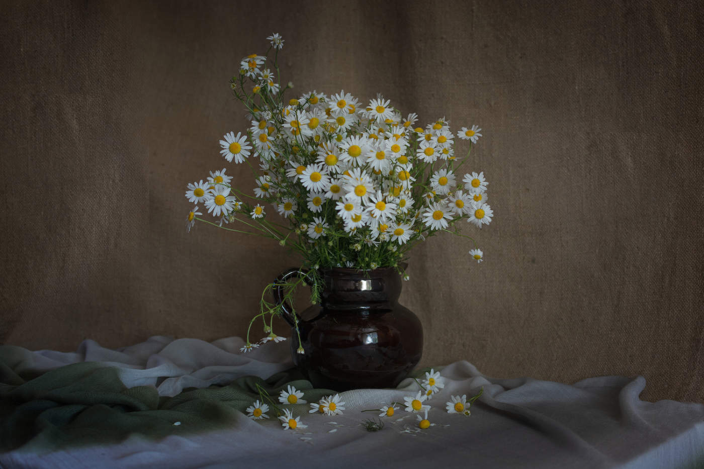 Ромашек красота неброская...