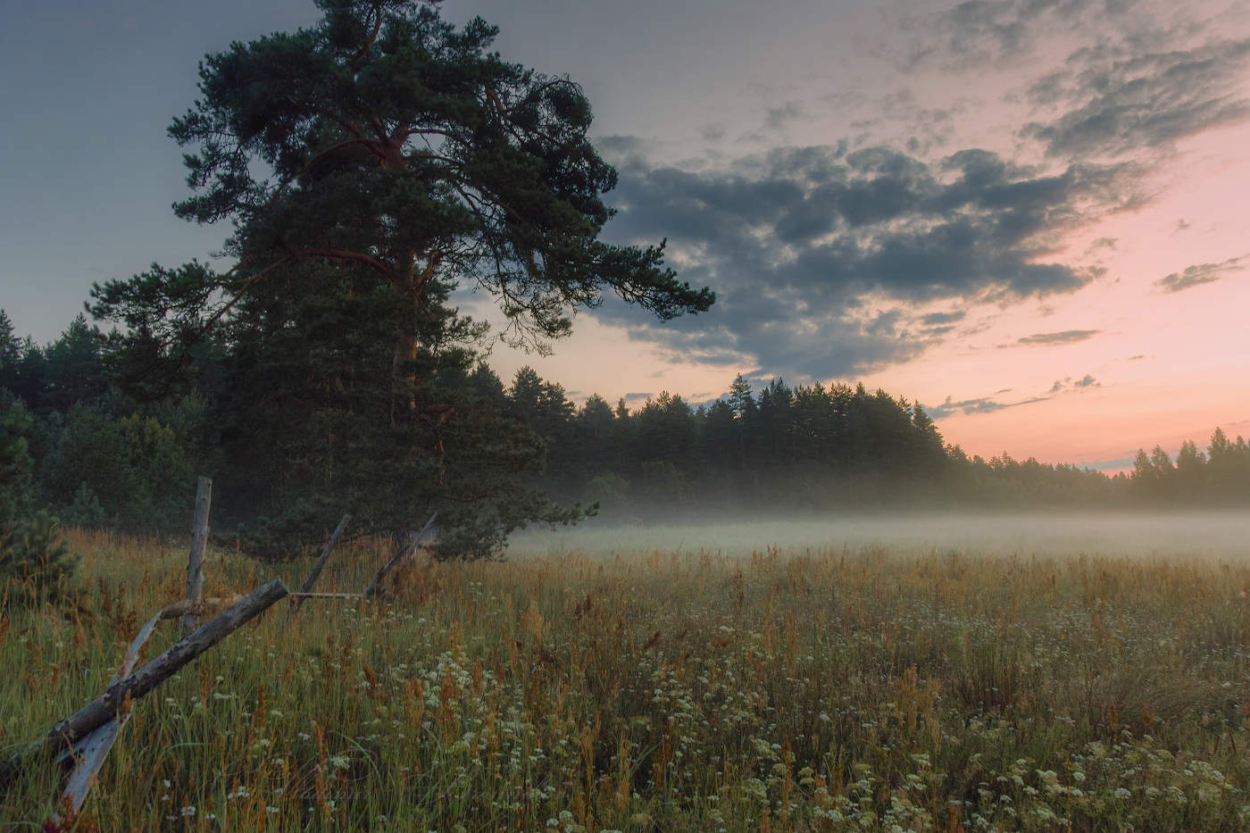 Туманный покров