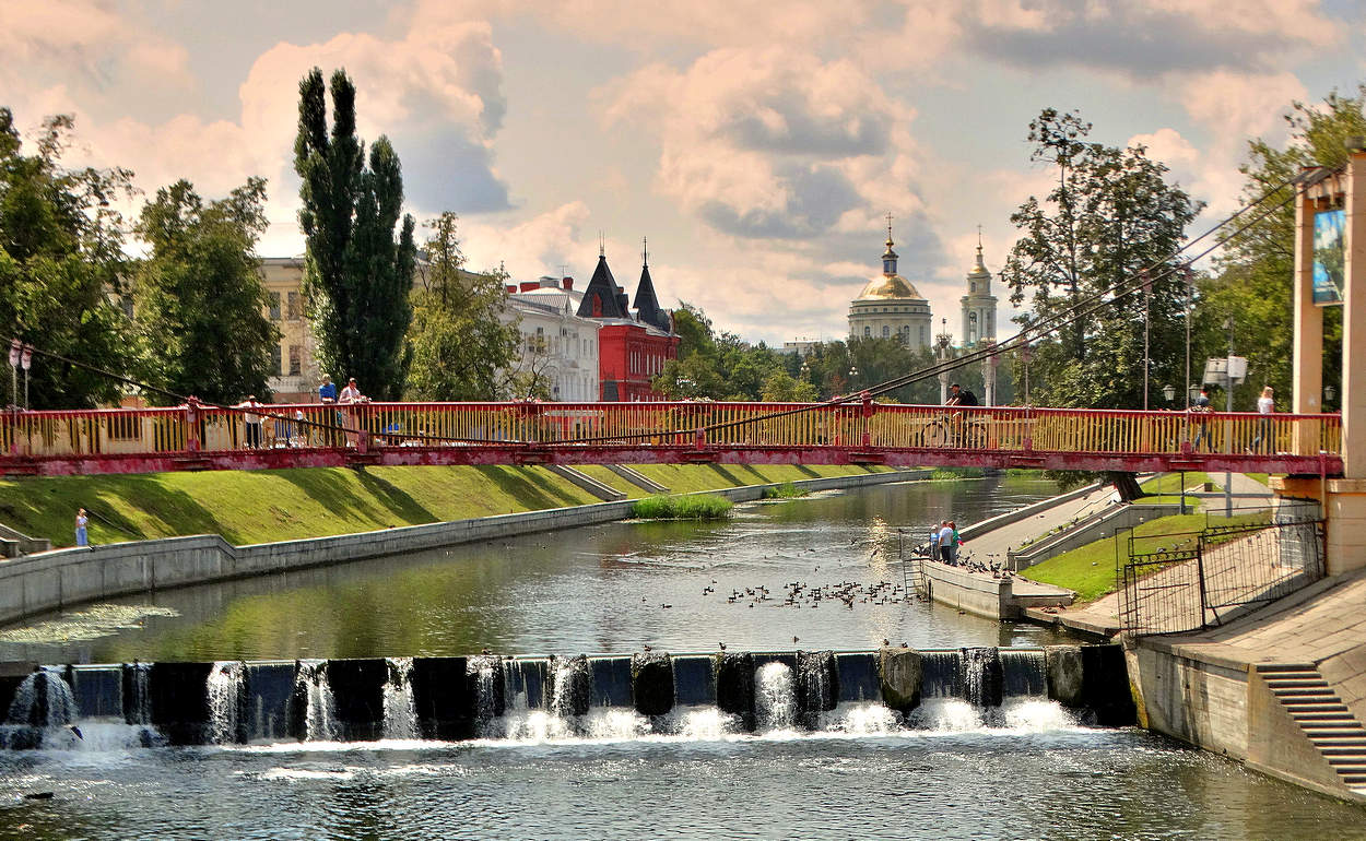 Жизнь кипит августовским днём