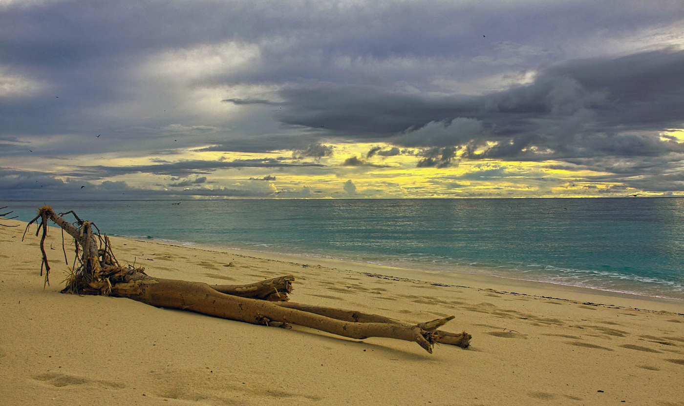 На острове Бёрд