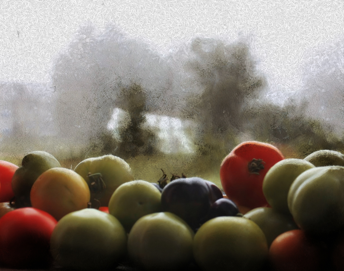 За окном туман, на окне август.