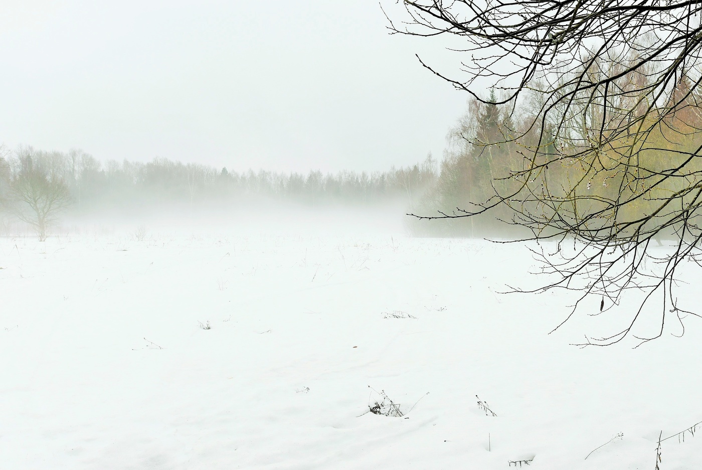 Серенький денек ...