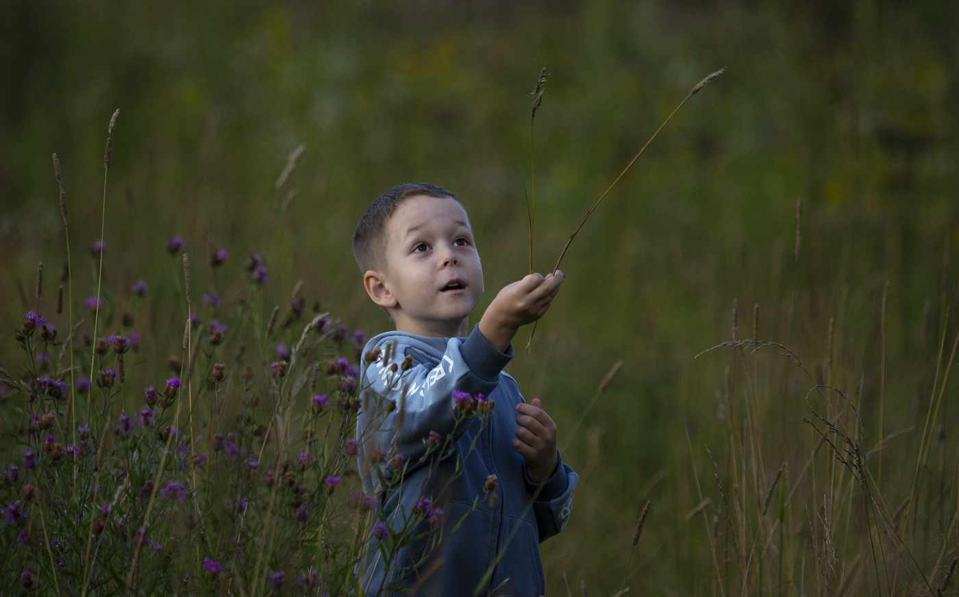 Сколько интересного вокруг!