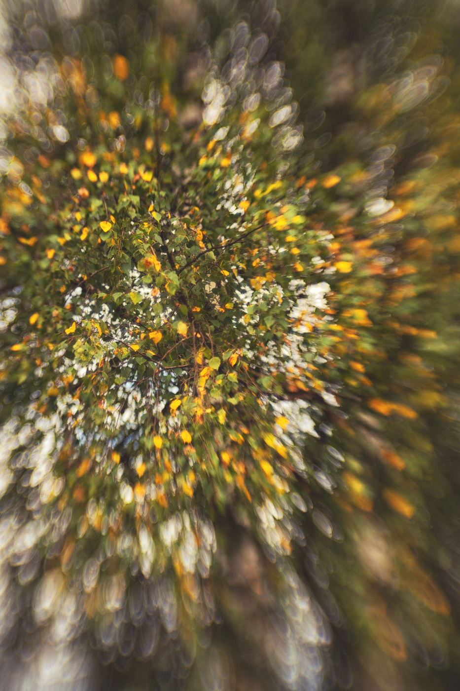 Жизнь вокруг