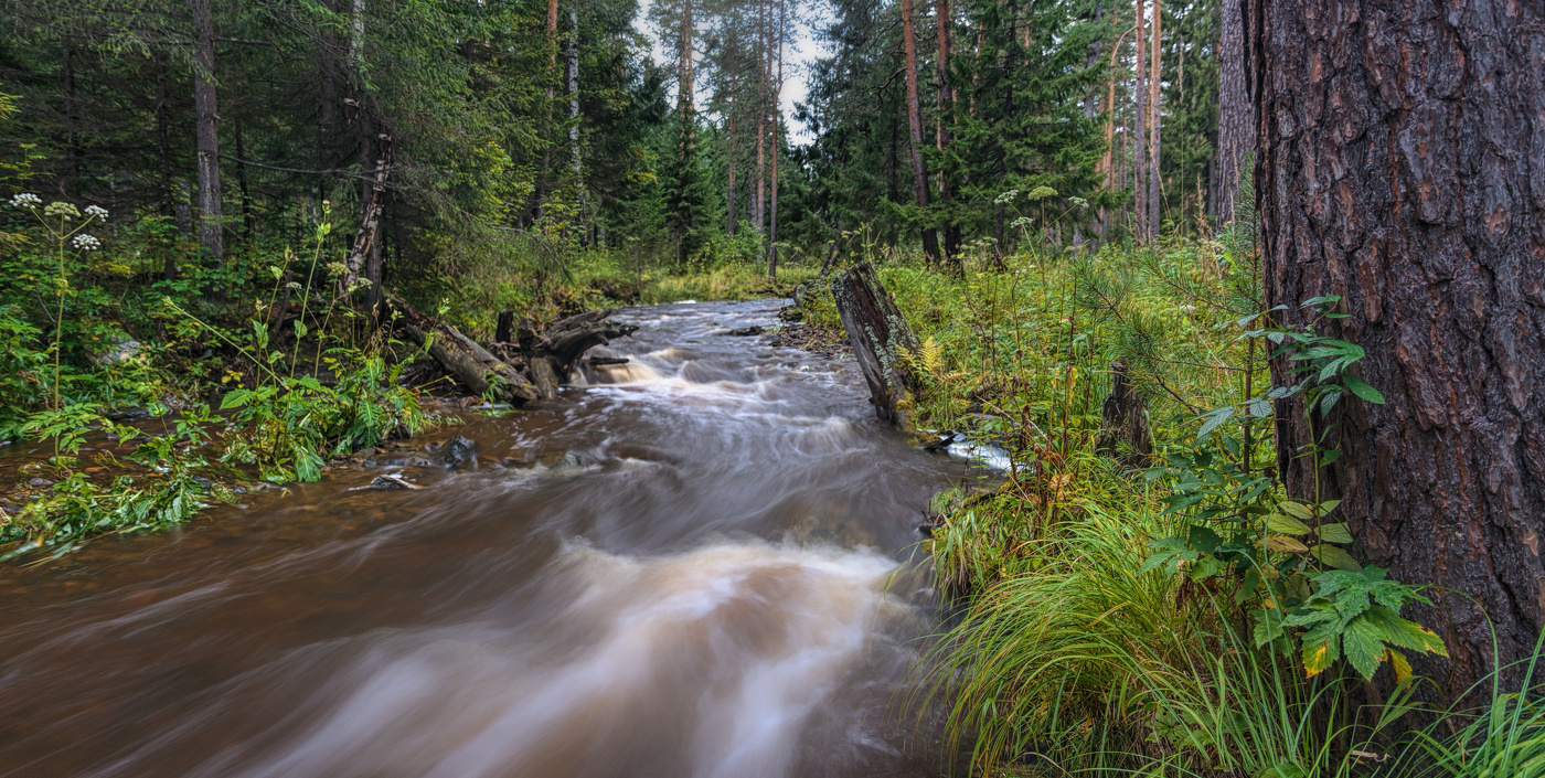 После дождя