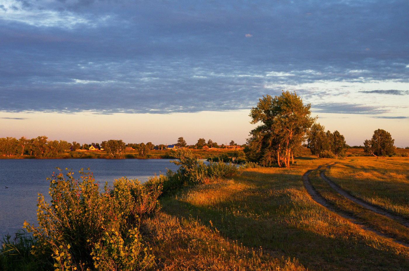 вечерний свет