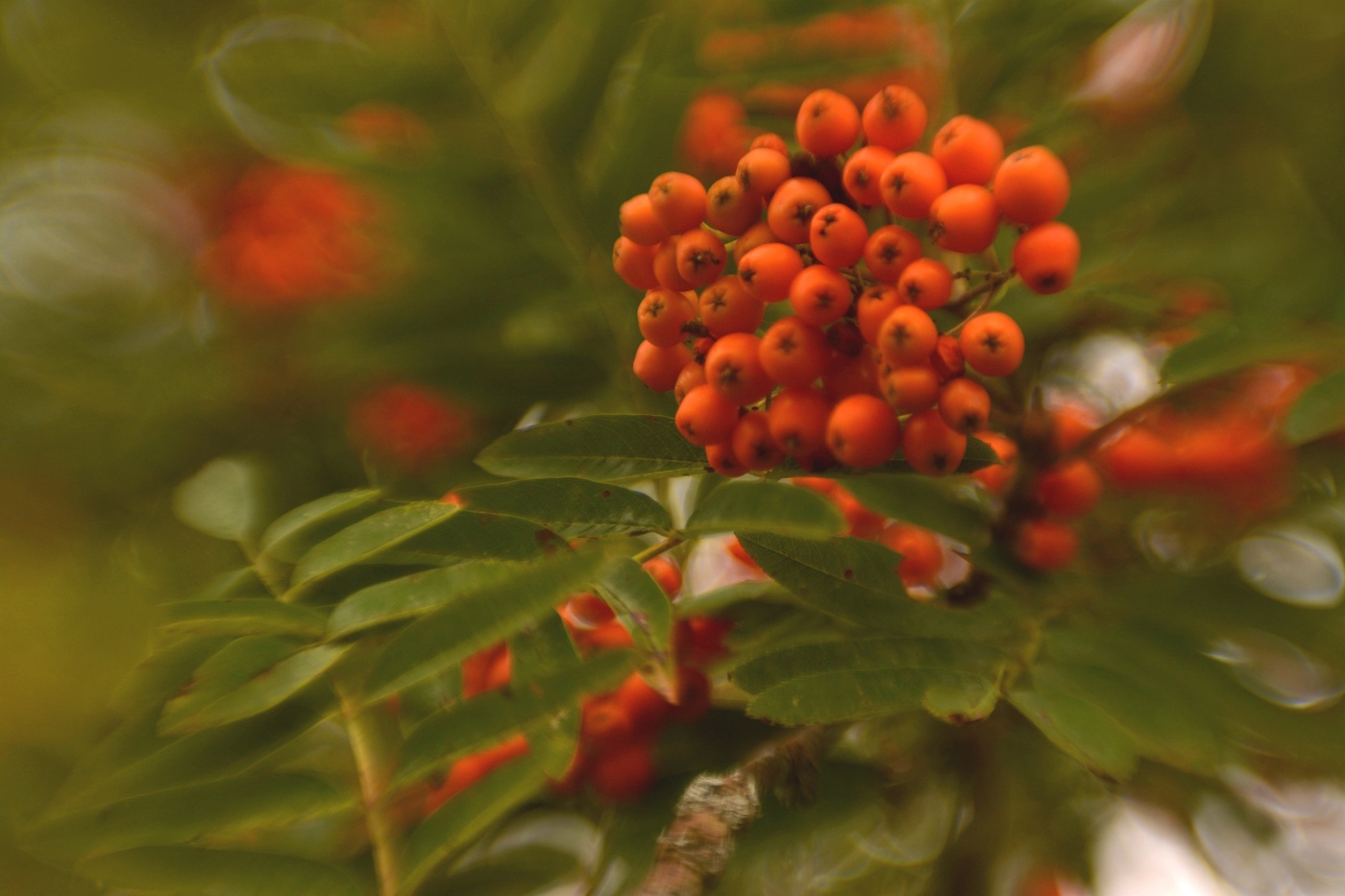 Жизнь вокруг