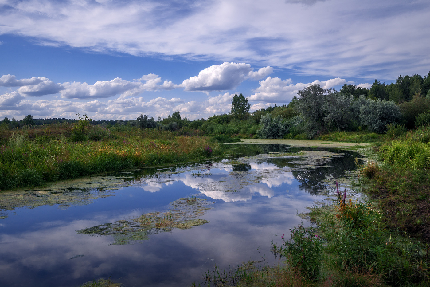 Речка Уса...