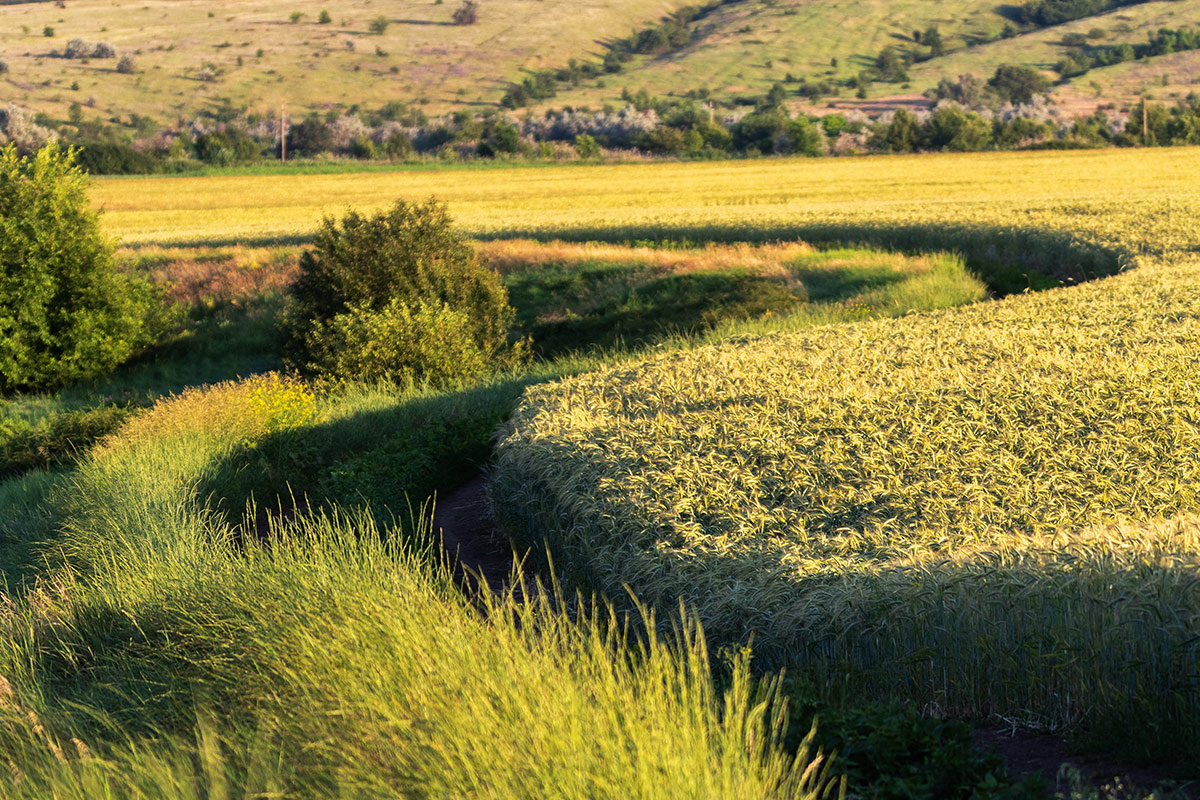 Дорога к холмам