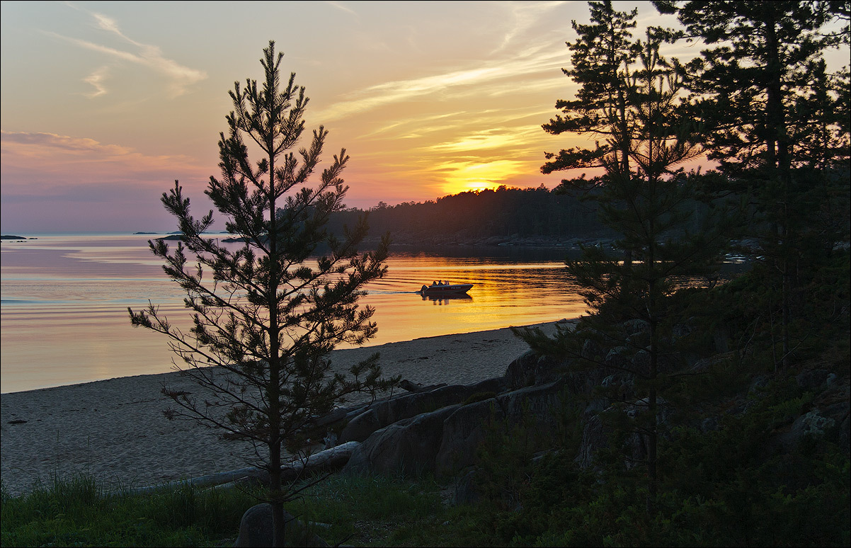 Воспоминания о лете.