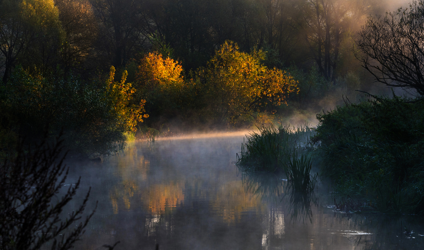 Утро на речке.