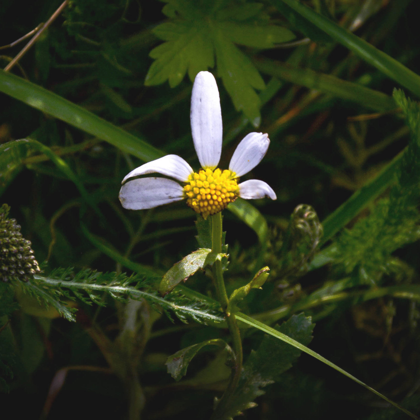 Жизнь вокруг