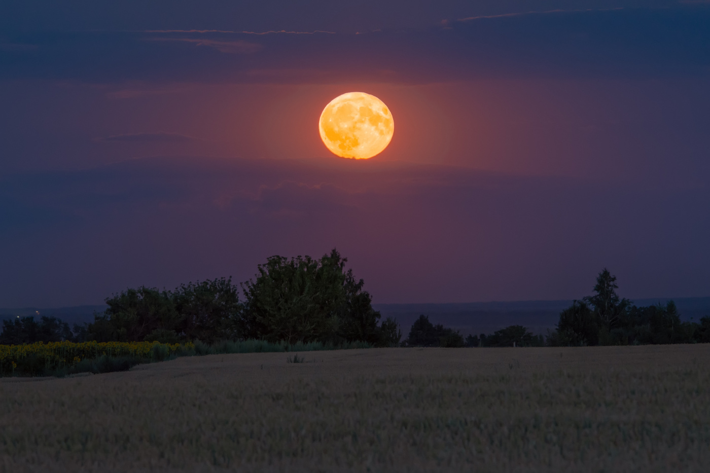 оленья Луна