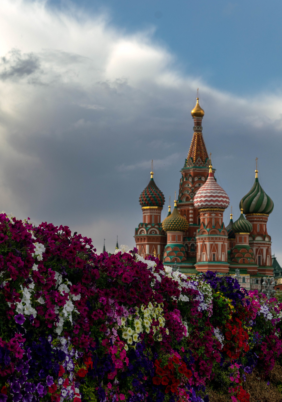 Среди цветов