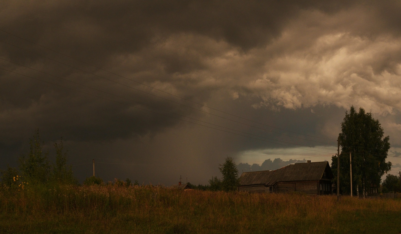 Перед дождем ...