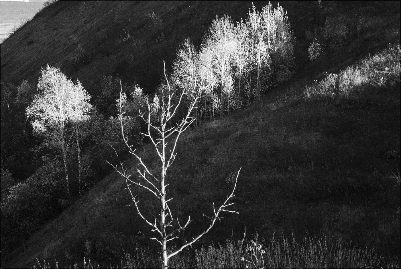 наэлектризованные