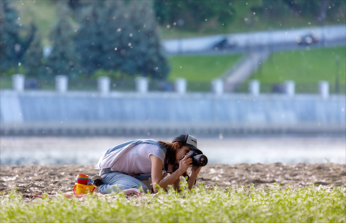 ТОПОЛИНЫЙ ПУХ