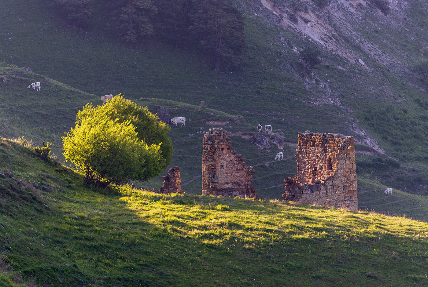 По тропинкам