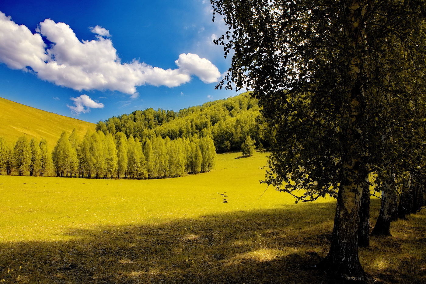 Жарким днём.