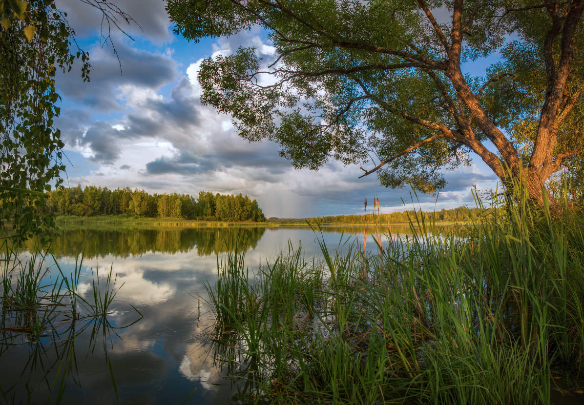 Кружева августа