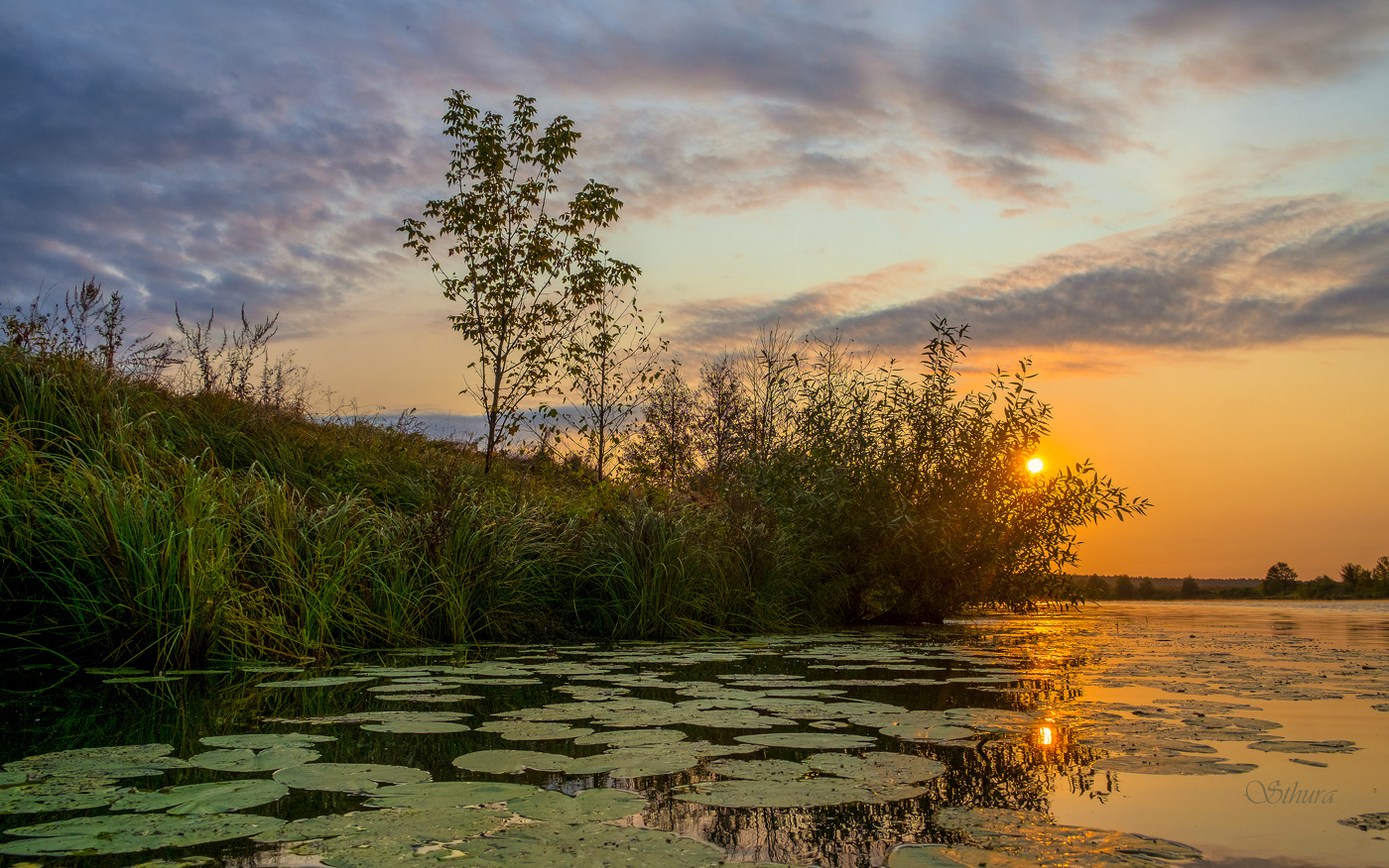 Осень. Сентябрь.