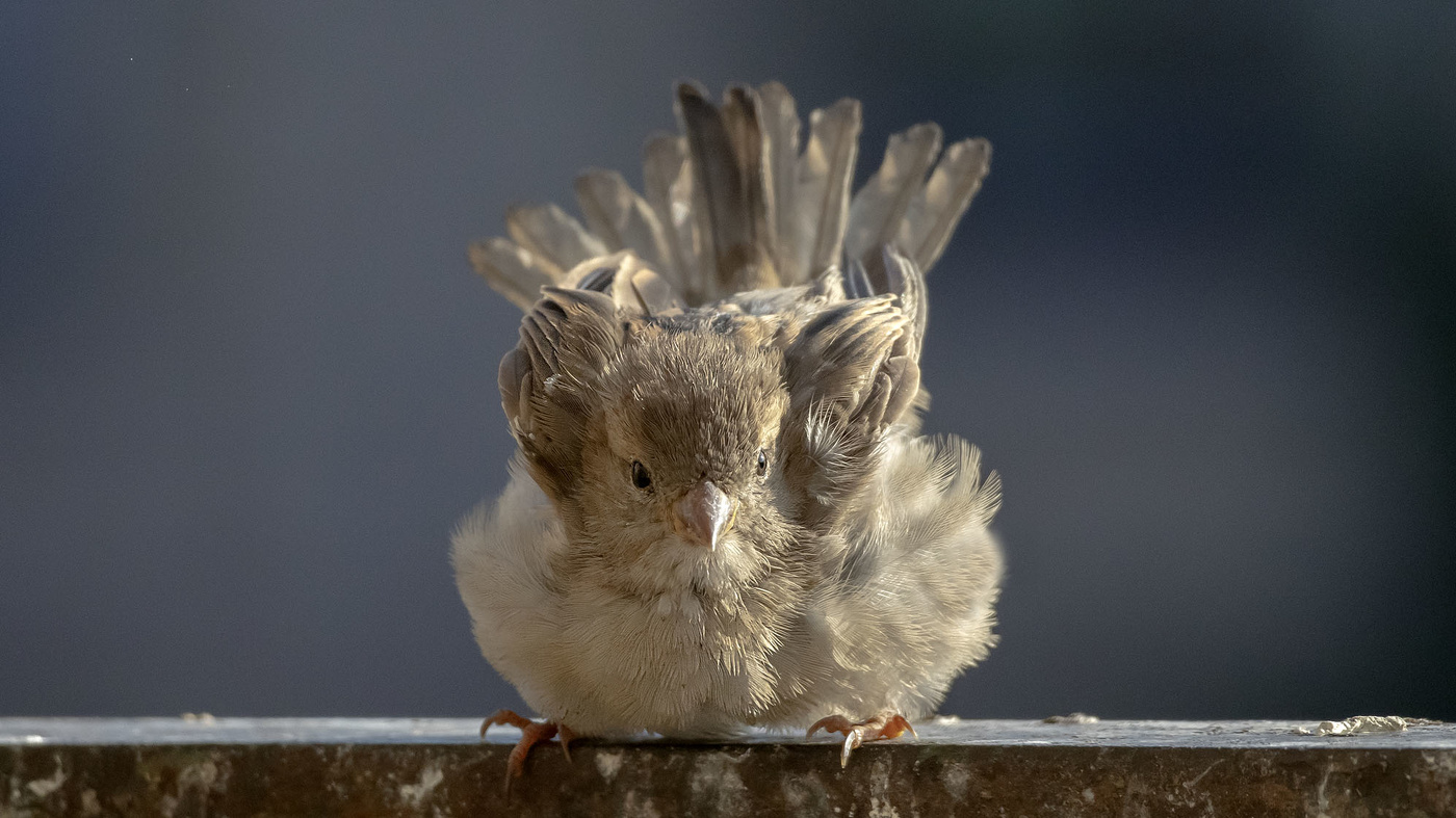 А я маленький такой...