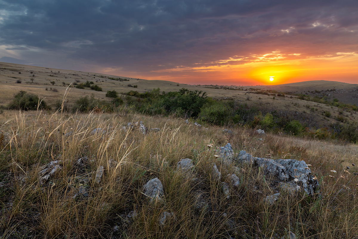 Вечер над степью