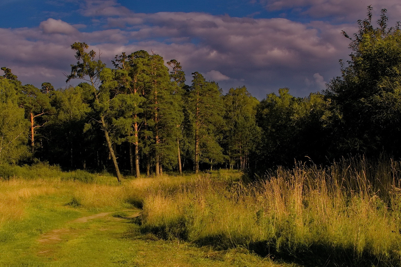 Летним вечером.