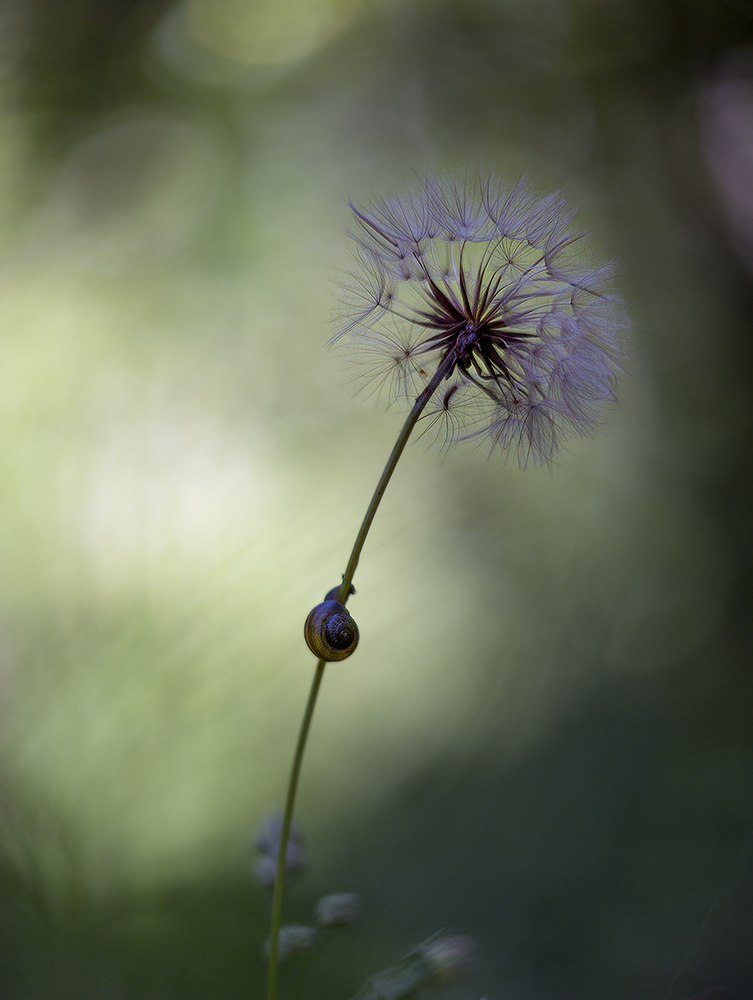 Путь наверх