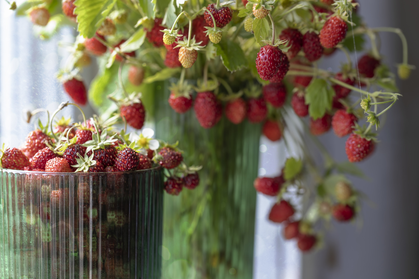 Ароматная...