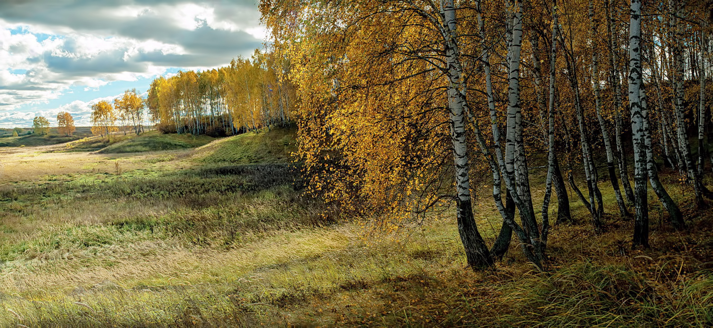 В тени золотой осени.