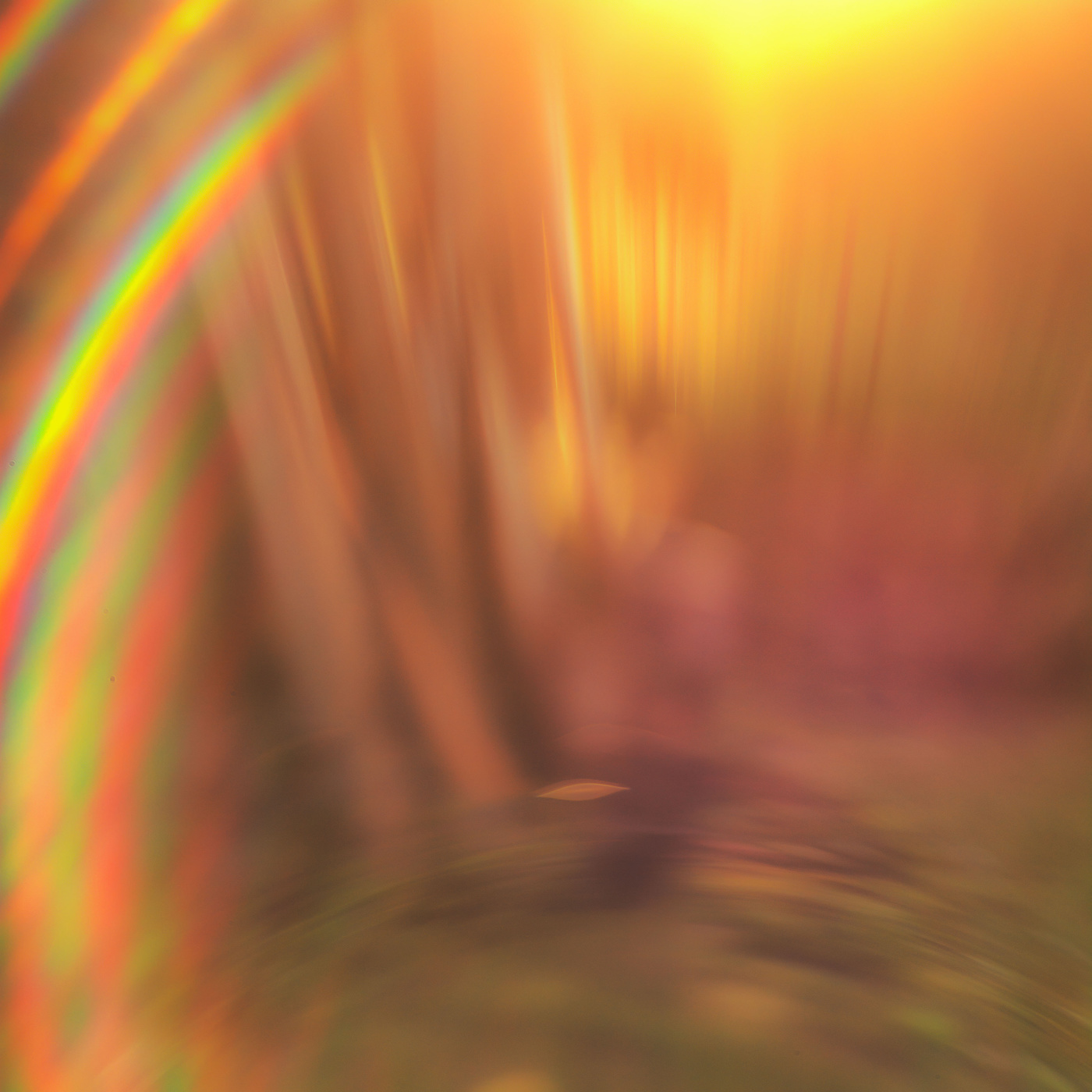 Жизнь вокруг