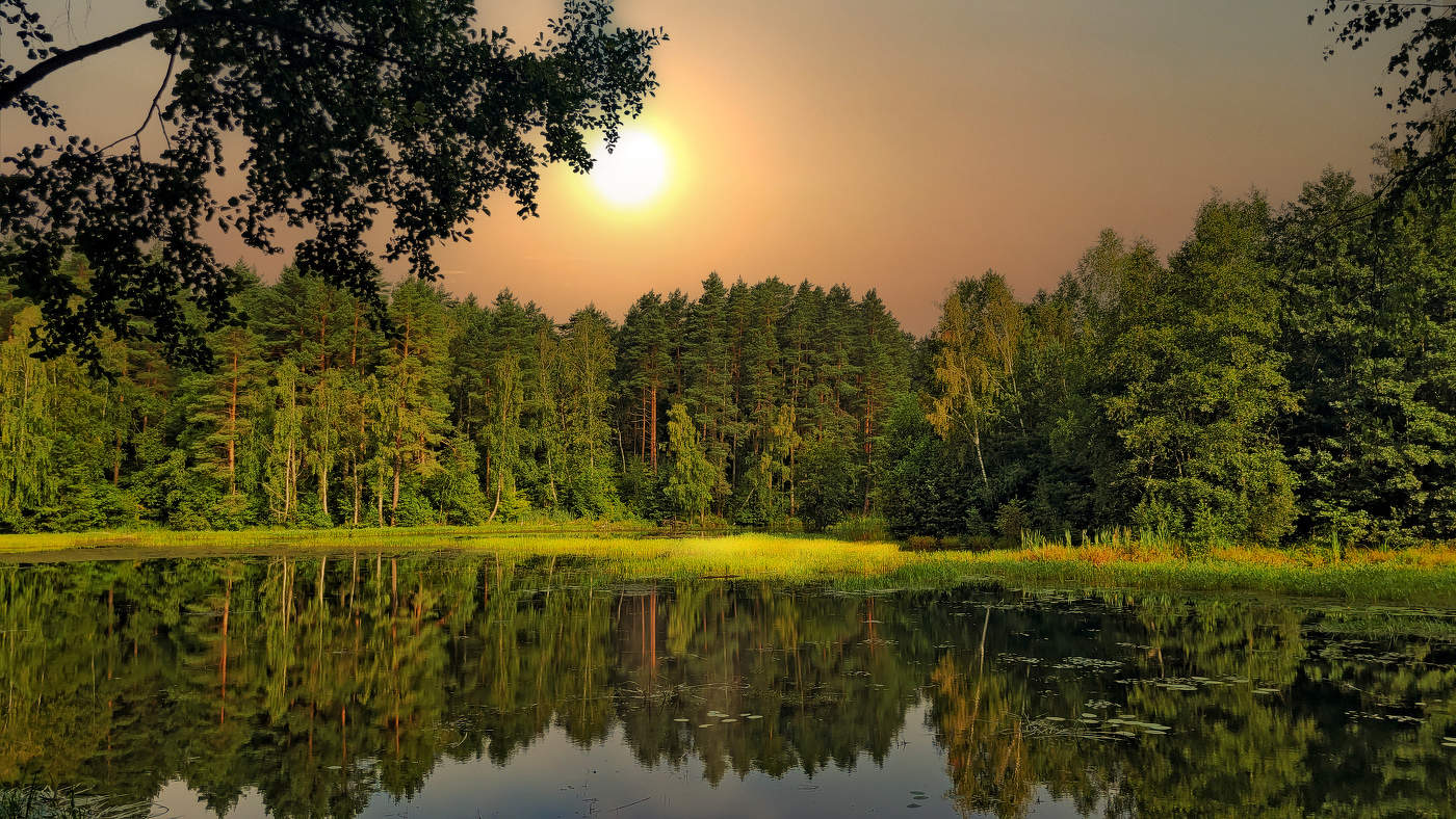 **Рождественские пруды.(калужские окрестности).