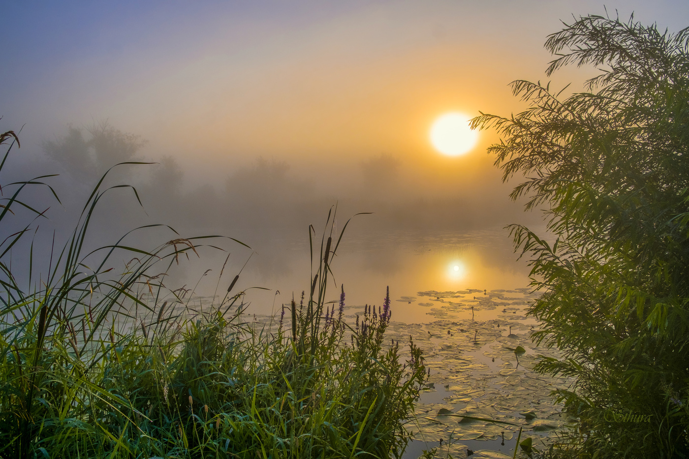 Утро на Студёном.