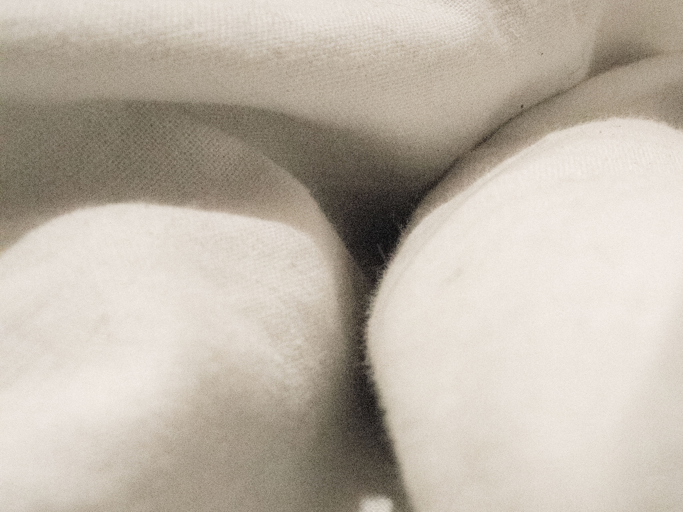 Жизнь вокруг