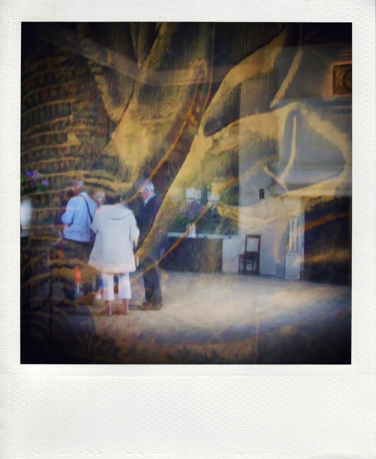 Позвольте на анализ сдать