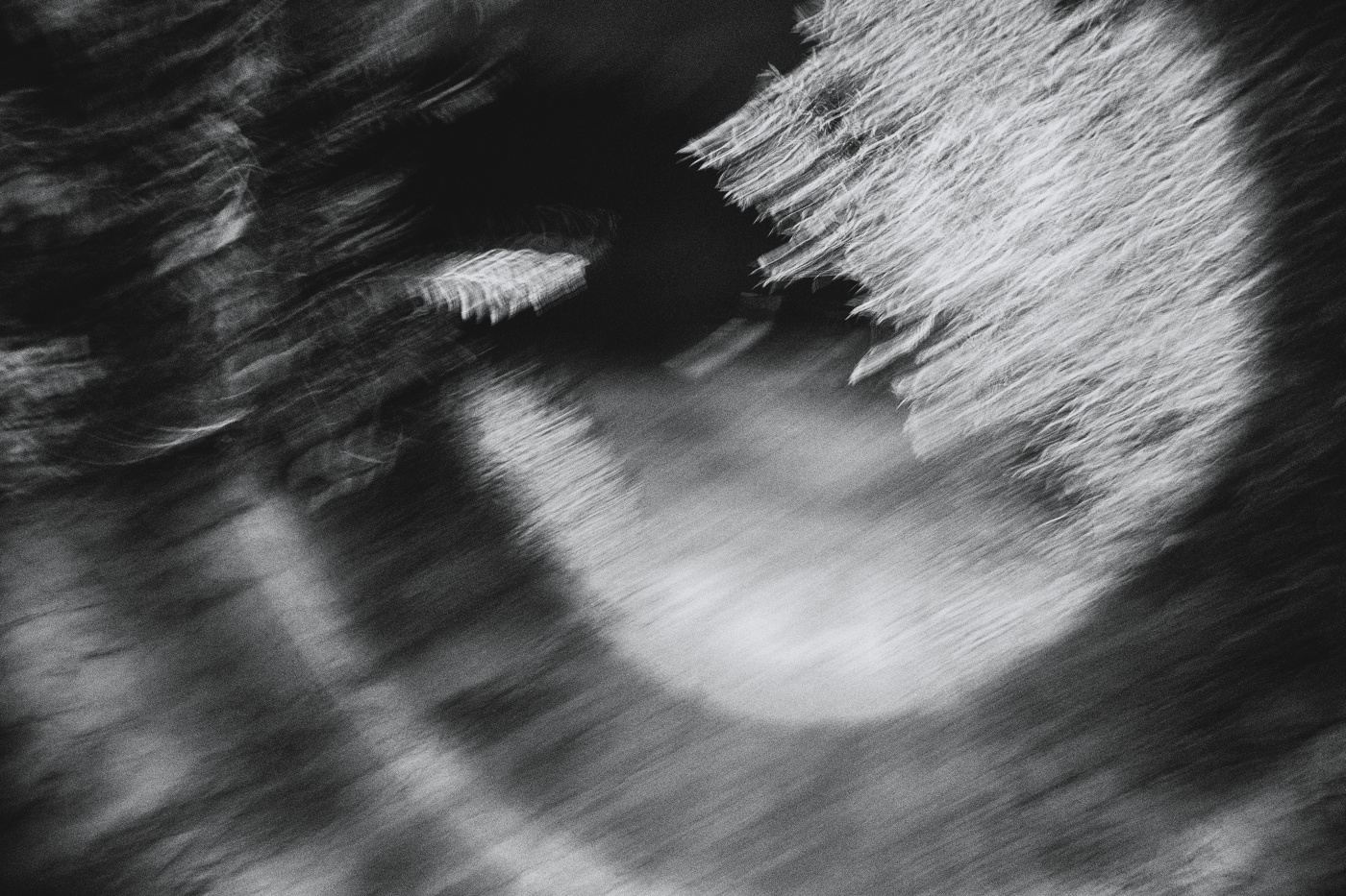 Жизнь вокруг