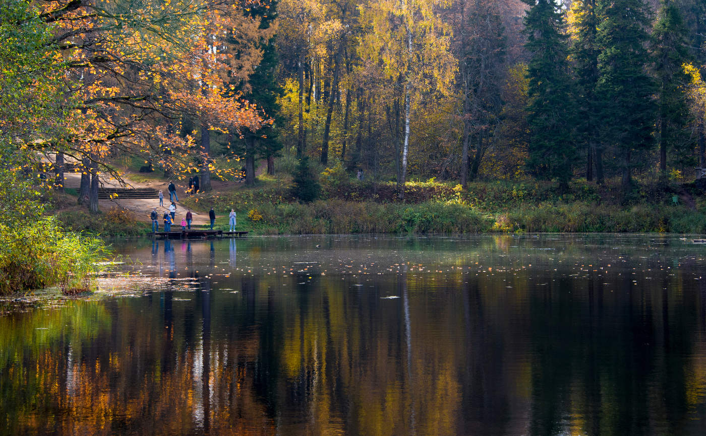 Старый пруд.