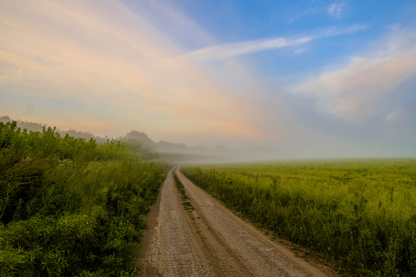 Утренняя дорога.