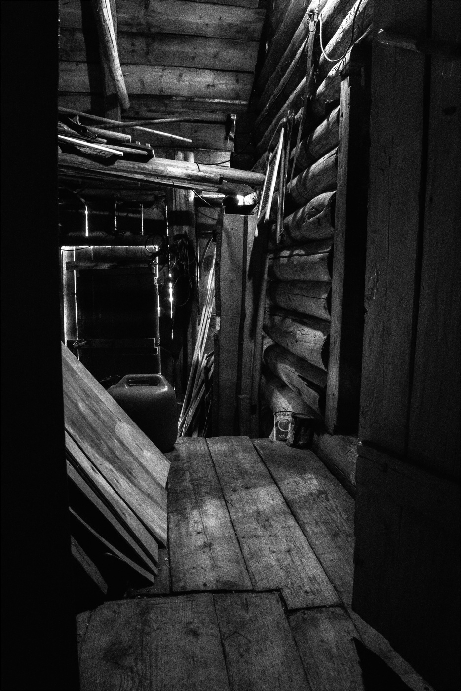 Жизнь вокруг