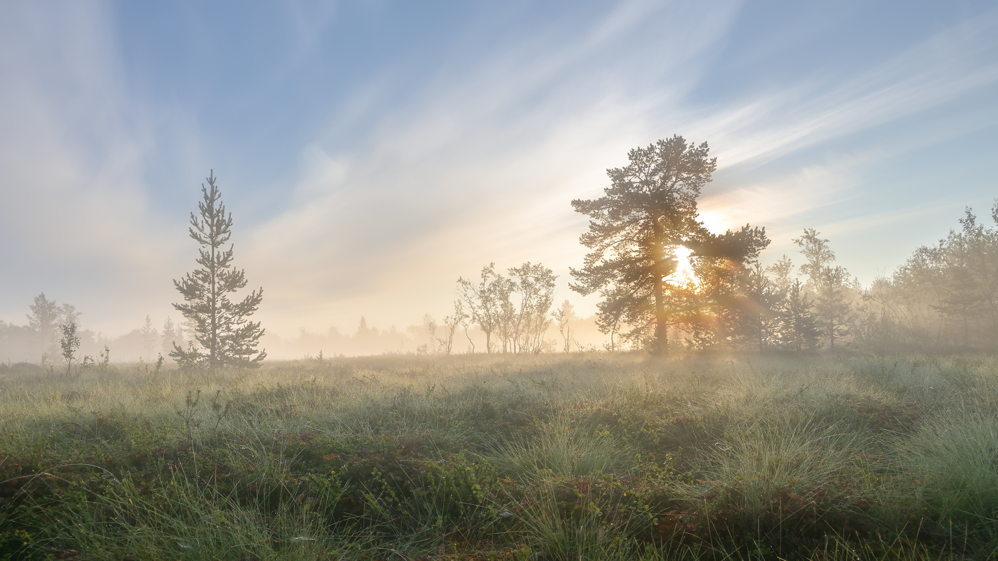 Солнце взошло...