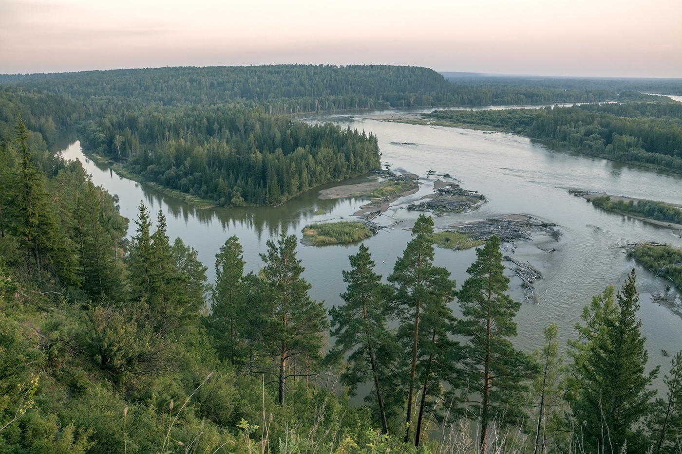 Ока Сибирская