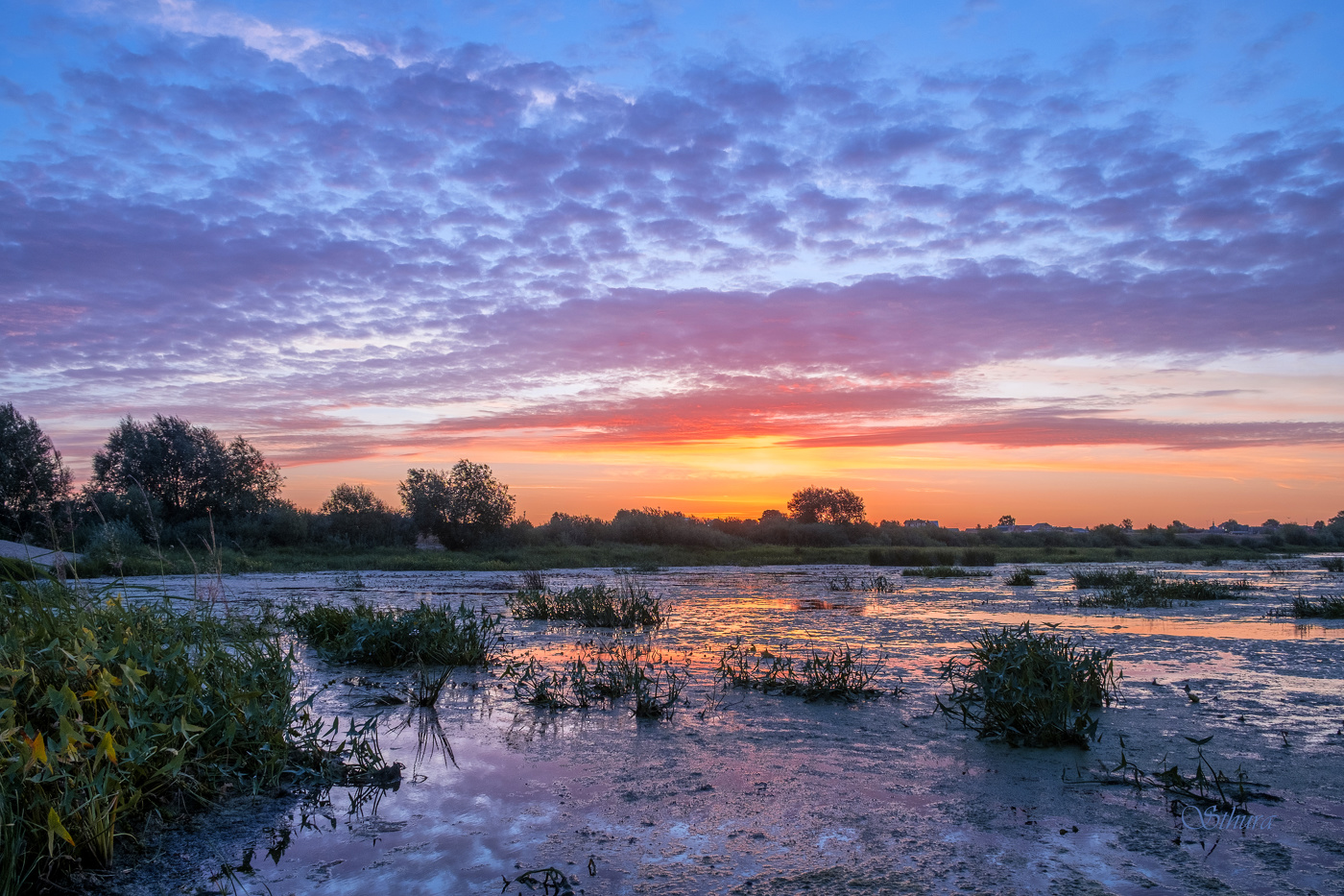 Летнее утро.
