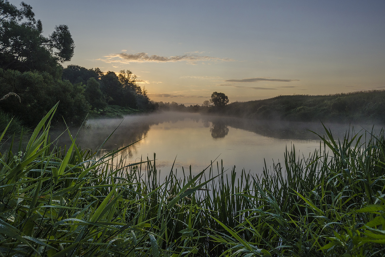 Тихая заводь