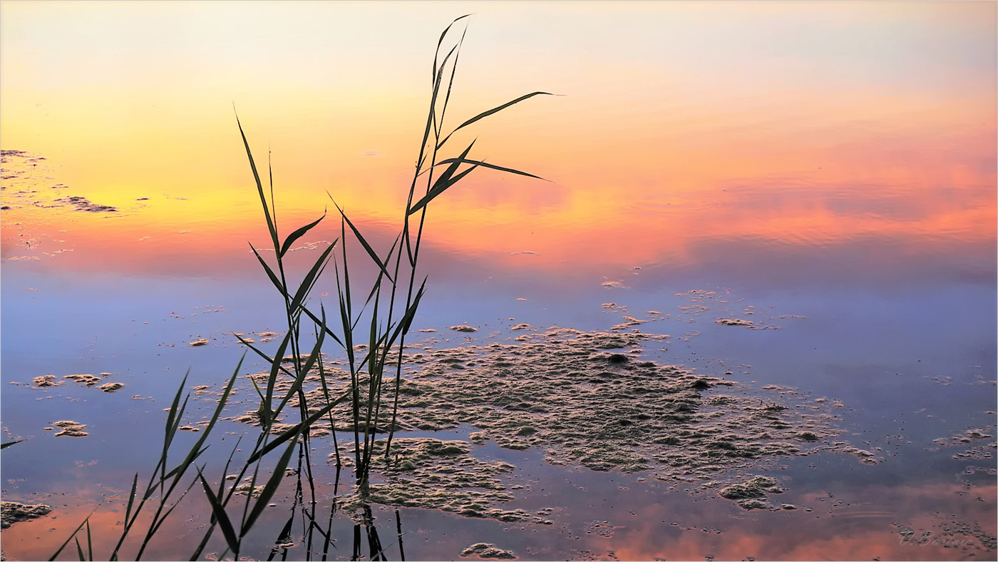 Отражалось утро...