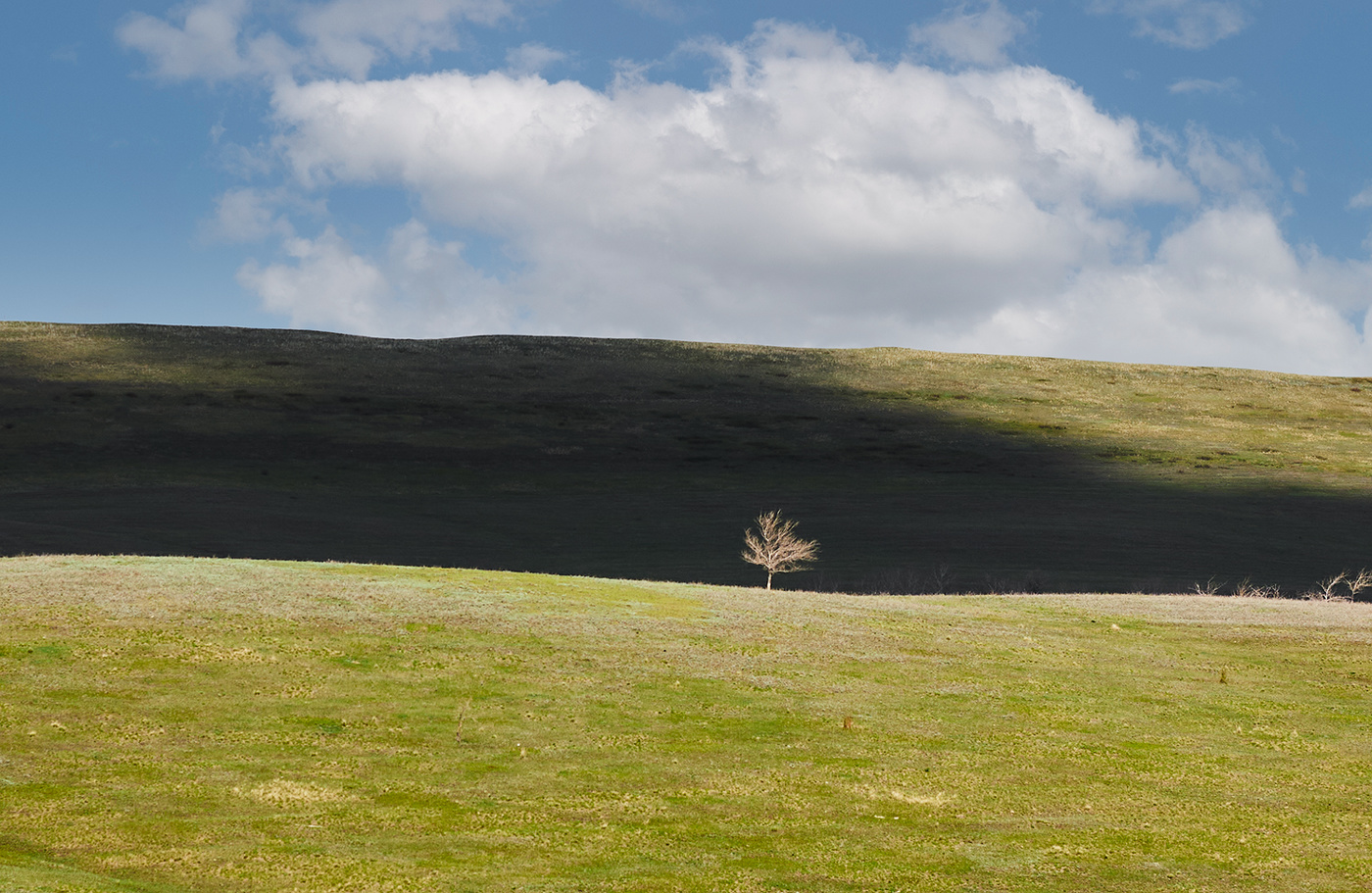 Одиночество.